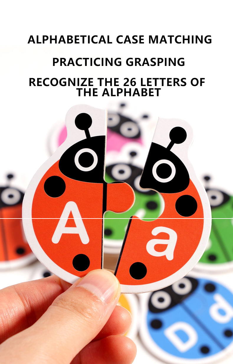 Ladybug Letter Pairing & Vocabulary Matching Game